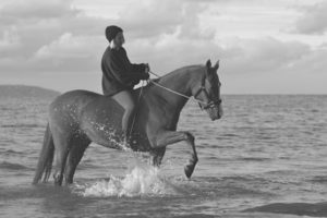 �������� ��������