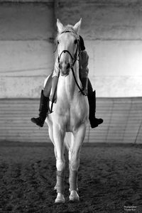 �������� ��������