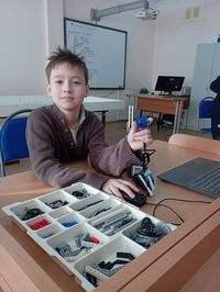  5      STEM-