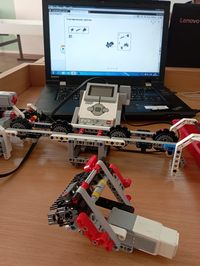  5      STEM-