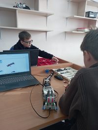  5      STEM-