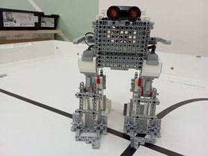     STEM-