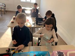  5     STEM-